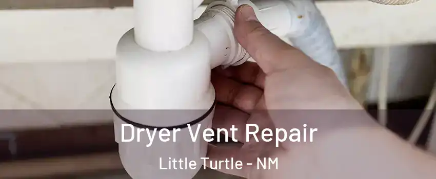 Dryer Vent Repair Little Turtle - NM