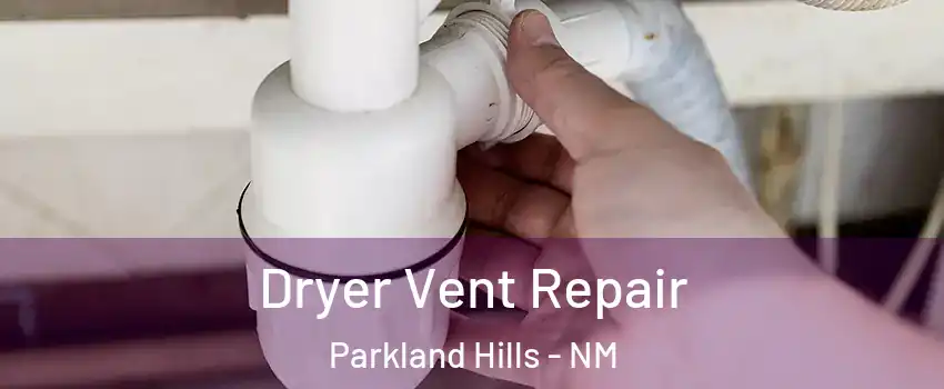 Dryer Vent Repair Parkland Hills - NM