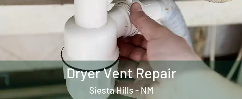 Dryer Vent Repair Siesta Hills - NM