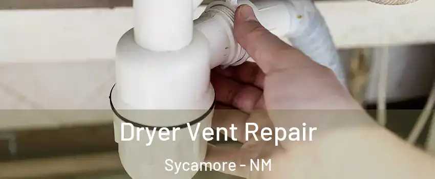 Dryer Vent Repair Sycamore - NM