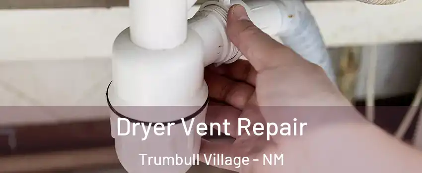 Dryer Vent Repair Trumbull Village - NM