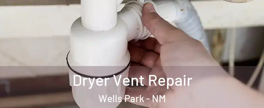 Dryer Vent Repair Wells Park - NM