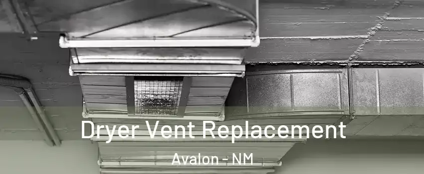 Dryer Vent Replacement Avalon - NM