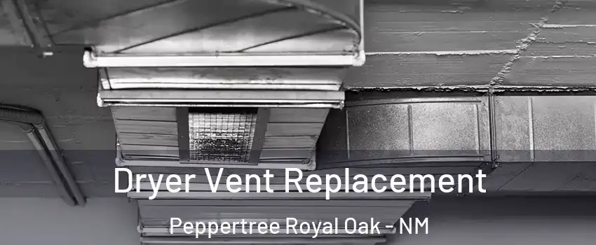 Dryer Vent Replacement Peppertree Royal Oak - NM