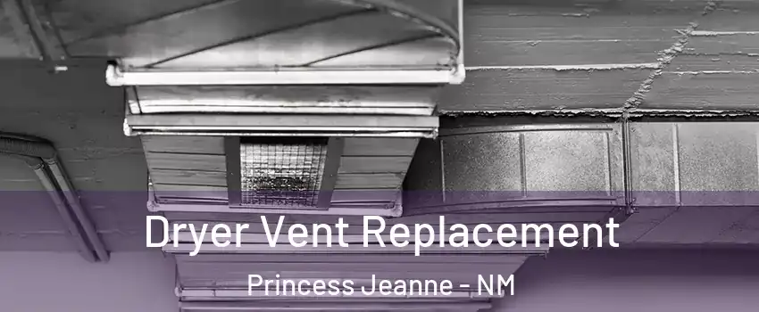 Dryer Vent Replacement Princess Jeanne - NM