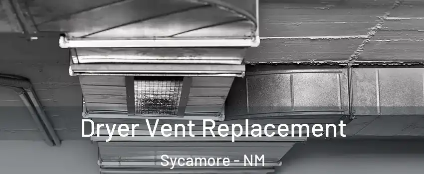 Dryer Vent Replacement Sycamore - NM