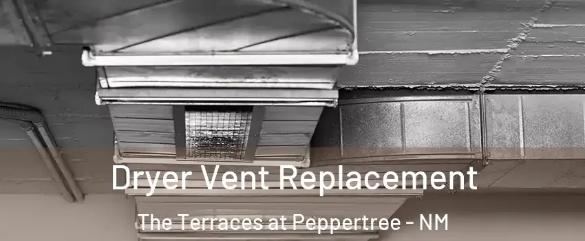 Dryer Vent Replacement The Terraces at Peppertree - NM