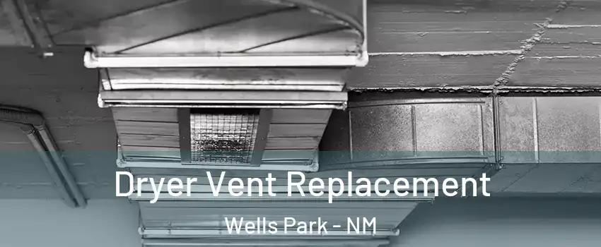 Dryer Vent Replacement Wells Park - NM
