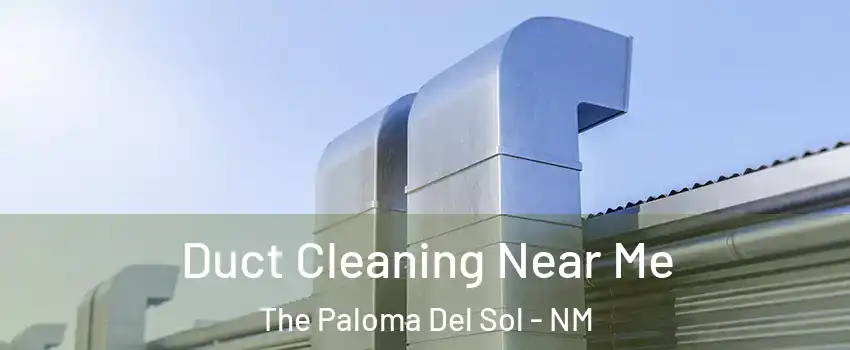 Duct Cleaning Near Me The Paloma Del Sol - NM