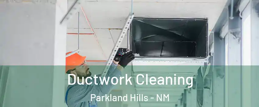 Ductwork Cleaning Parkland Hills - NM