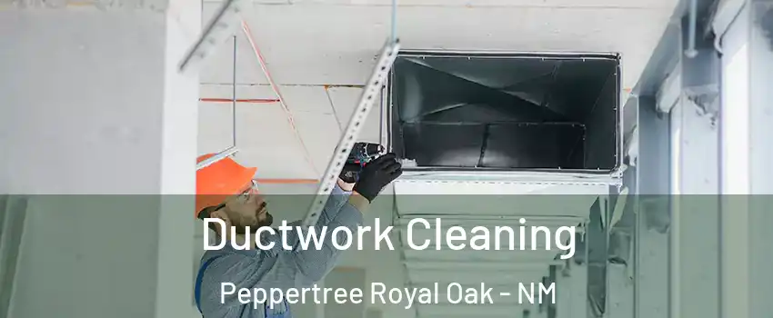 Ductwork Cleaning Peppertree Royal Oak - NM