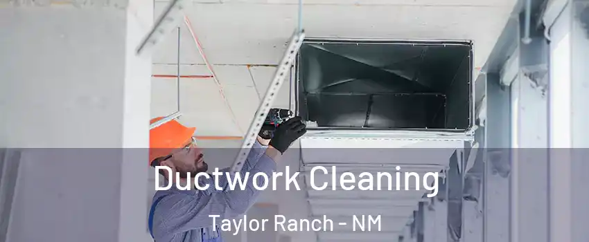 Ductwork Cleaning Taylor Ranch - NM