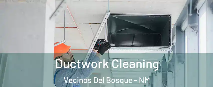 Ductwork Cleaning Vecinos Del Bosque - NM