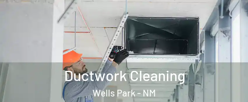 Ductwork Cleaning Wells Park - NM