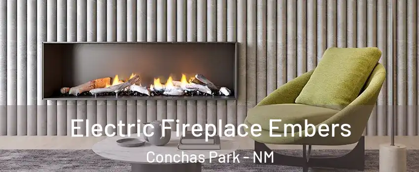 Electric Fireplace Embers Conchas Park - NM