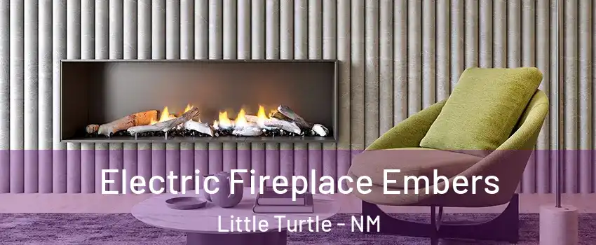 Electric Fireplace Embers Little Turtle - NM