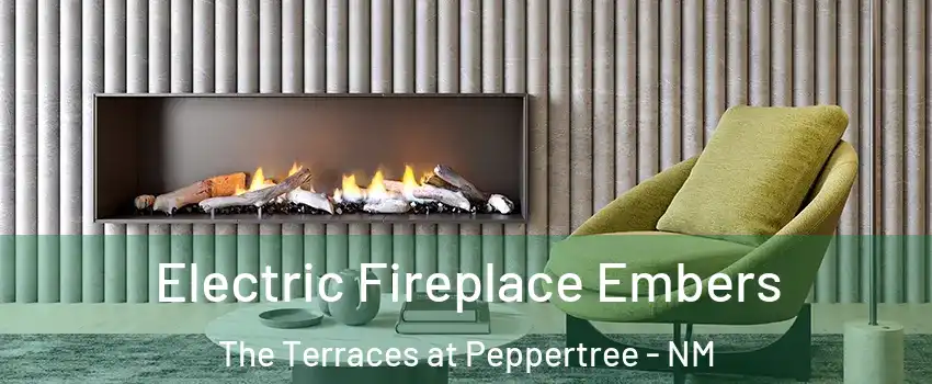 Electric Fireplace Embers The Terraces at Peppertree - NM