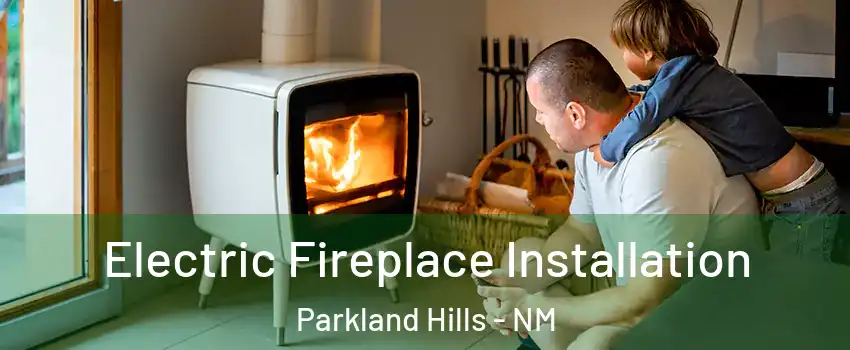 Electric Fireplace Installation Parkland Hills - NM