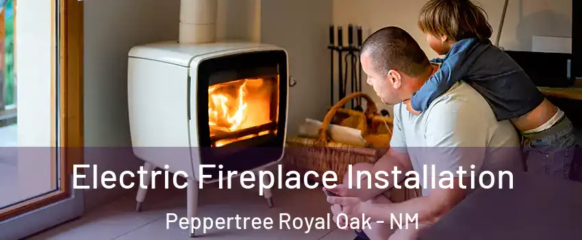 Electric Fireplace Installation Peppertree Royal Oak - NM