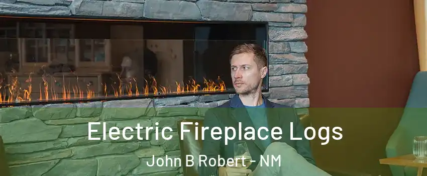 Electric Fireplace Logs John B Robert - NM