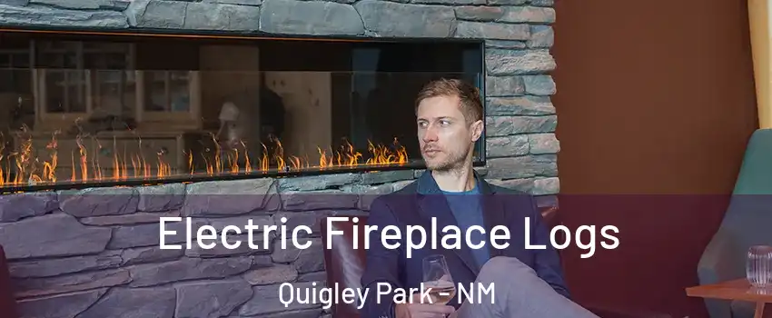 Electric Fireplace Logs Quigley Park - NM