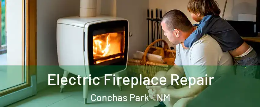 Electric Fireplace Repair Conchas Park - NM