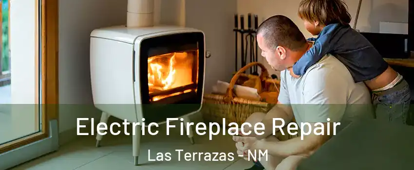 Electric Fireplace Repair Las Terrazas - NM