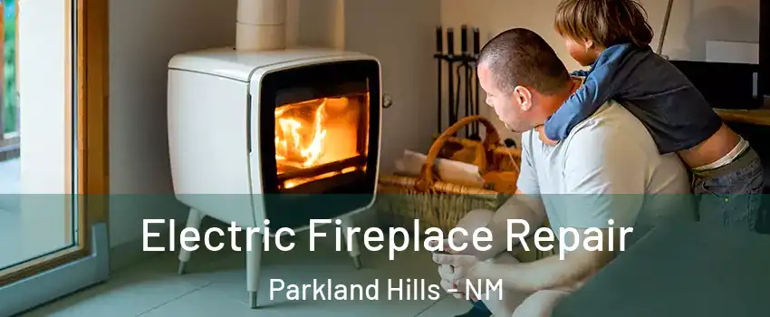 Electric Fireplace Repair Parkland Hills - NM