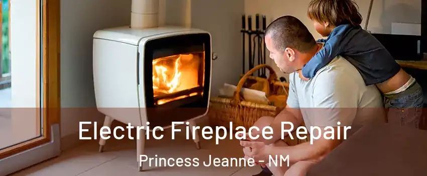 Electric Fireplace Repair Princess Jeanne - NM