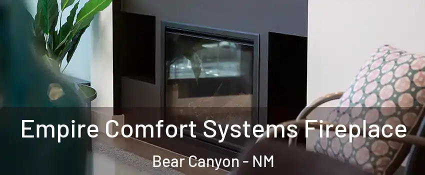 Empire Comfort Systems Fireplace Bear Canyon - NM