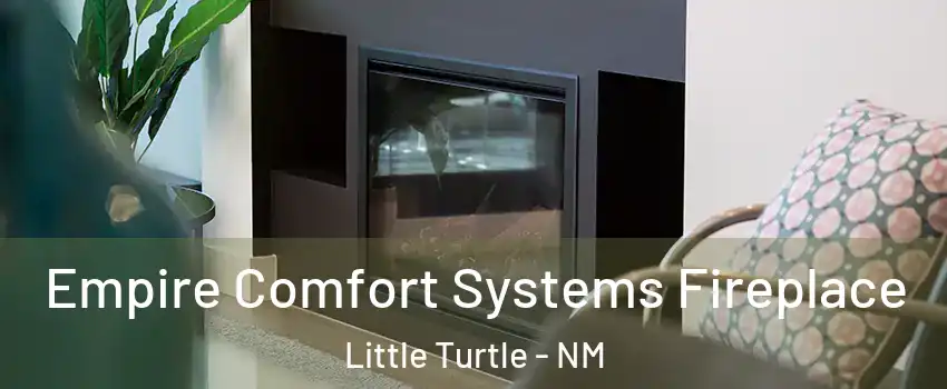 Empire Comfort Systems Fireplace Little Turtle - NM