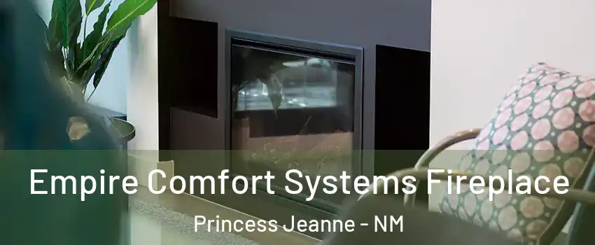 Empire Comfort Systems Fireplace Princess Jeanne - NM