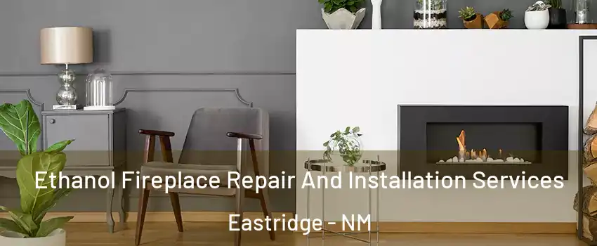 Ethanol Fireplace Repair And Installation Services Eastridge - NM
