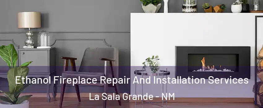 Ethanol Fireplace Repair And Installation Services La Sala Grande - NM