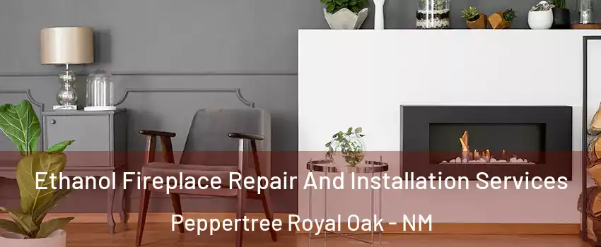 Ethanol Fireplace Repair And Installation Services Peppertree Royal Oak - NM