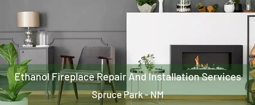 Ethanol Fireplace Repair And Installation Services Spruce Park - NM
