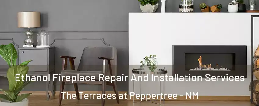 Ethanol Fireplace Repair And Installation Services The Terraces at Peppertree - NM