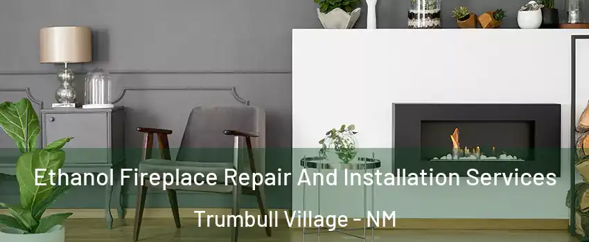 Ethanol Fireplace Repair And Installation Services Trumbull Village - NM