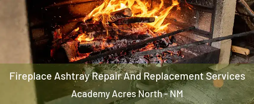 Fireplace Ashtray Repair And Replacement Services Academy Acres North - NM