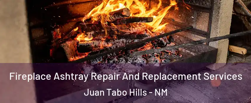 Fireplace Ashtray Repair And Replacement Services Juan Tabo Hills - NM