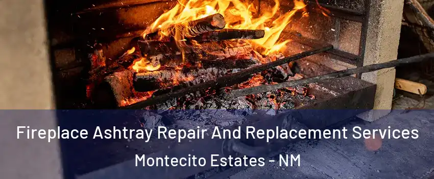 Fireplace Ashtray Repair And Replacement Services Montecito Estates - NM