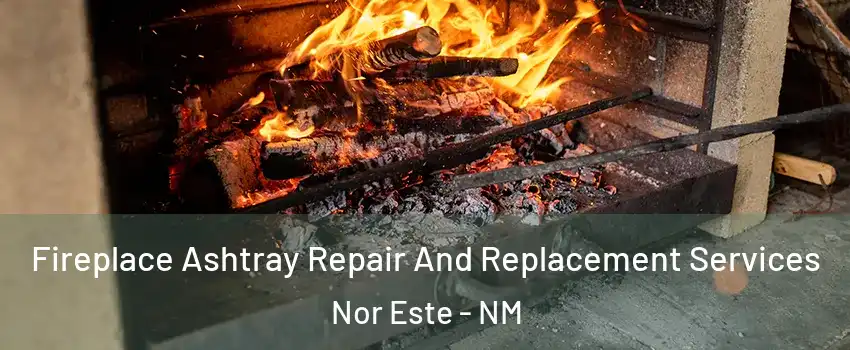 Fireplace Ashtray Repair And Replacement Services Nor Este - NM