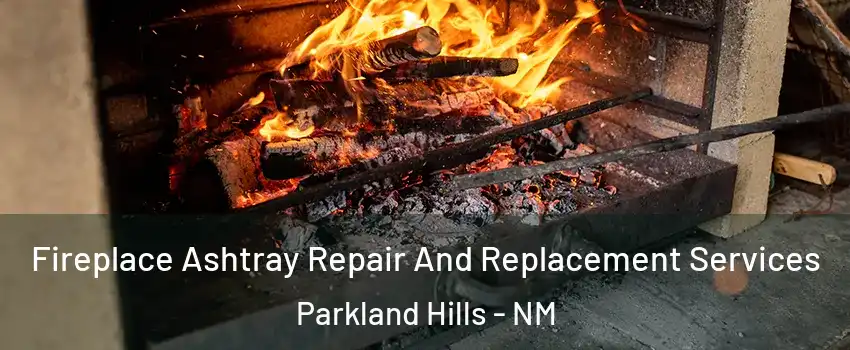 Fireplace Ashtray Repair And Replacement Services Parkland Hills - NM