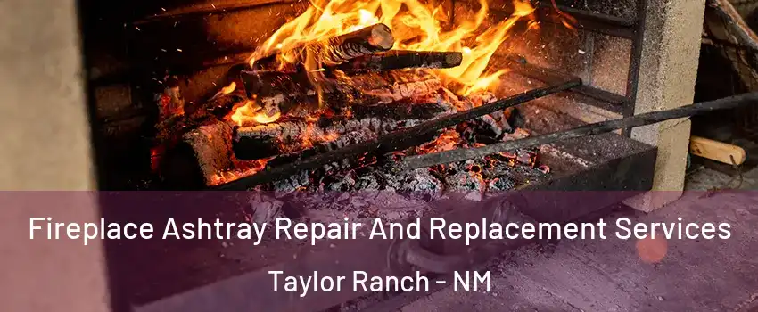 Fireplace Ashtray Repair And Replacement Services Taylor Ranch - NM
