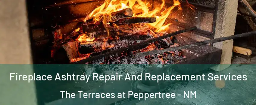 Fireplace Ashtray Repair And Replacement Services The Terraces at Peppertree - NM