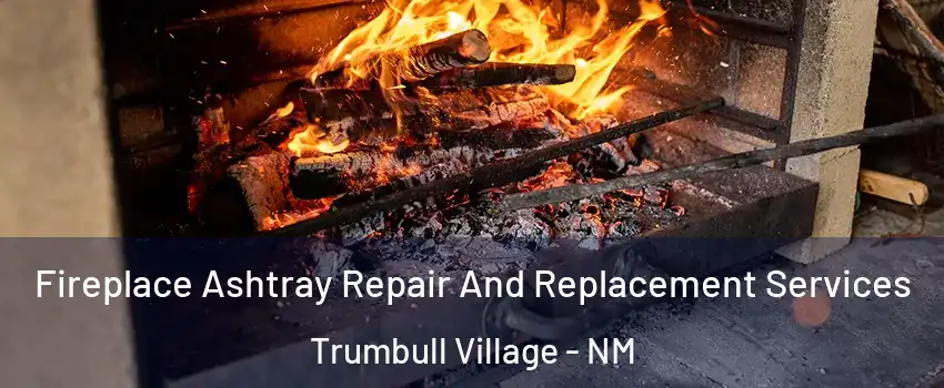 Fireplace Ashtray Repair And Replacement Services Trumbull Village - NM