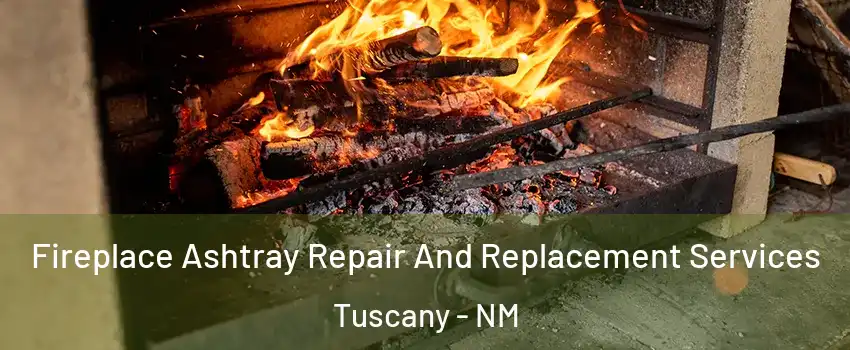 Fireplace Ashtray Repair And Replacement Services Tuscany - NM