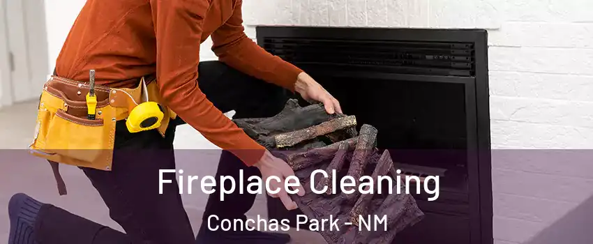 Fireplace Cleaning Conchas Park - NM