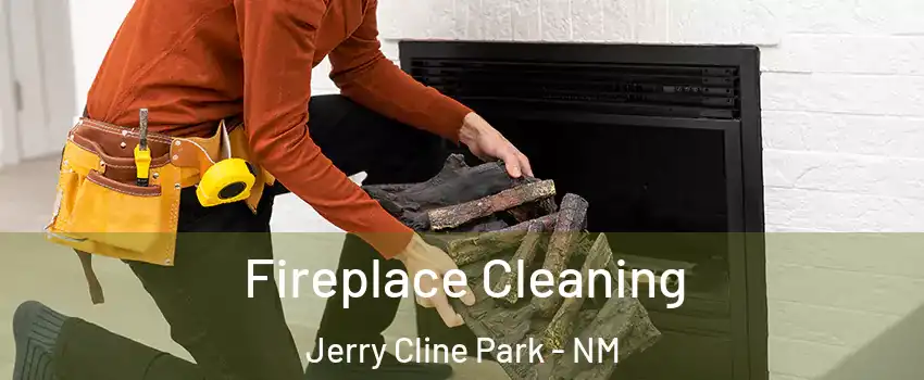 Fireplace Cleaning Jerry Cline Park - NM