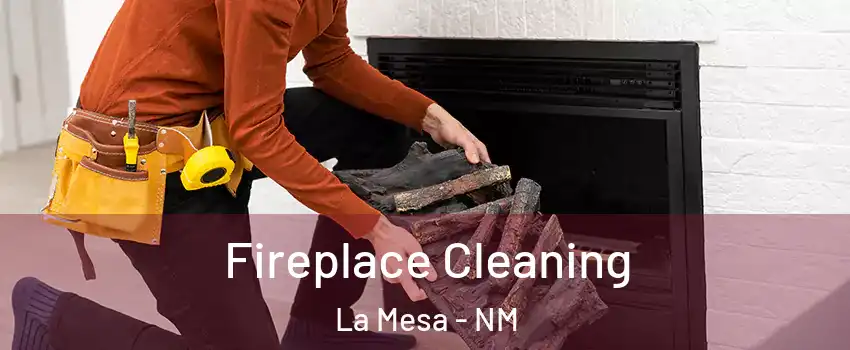 Fireplace Cleaning La Mesa - NM